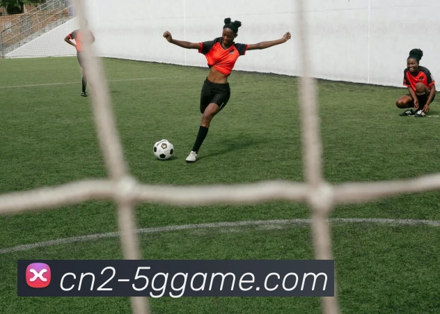 App Interface Preview